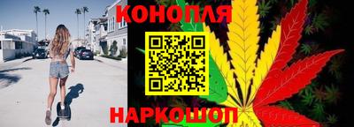 PSILOCYBIN Донской