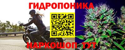 PSILOCYBIN Донской