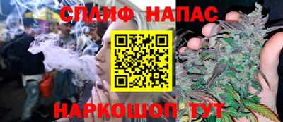 PSILOCYBIN Донской